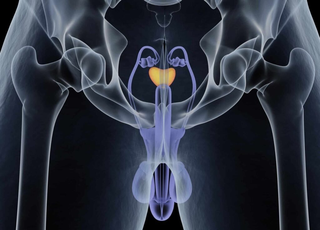 Prostatol – Çfarë Është, Përbërja, Përdorimi, Çmimi dhe Efektet Anësore